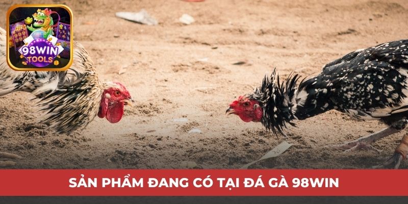 Sản phẩm đang có tại đá gà 98win 